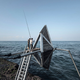 Illustration for article titled These Eerie Kinetic Sculptures by the Sea Would Also Make Electricity